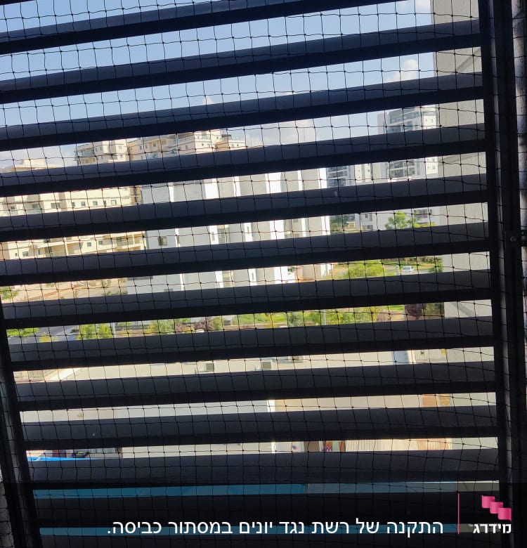 רשת מונעת כניסת יונים על חלון עם תריסים